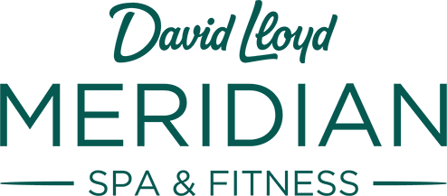 david loyd meridian span partner logo saunaaufguss